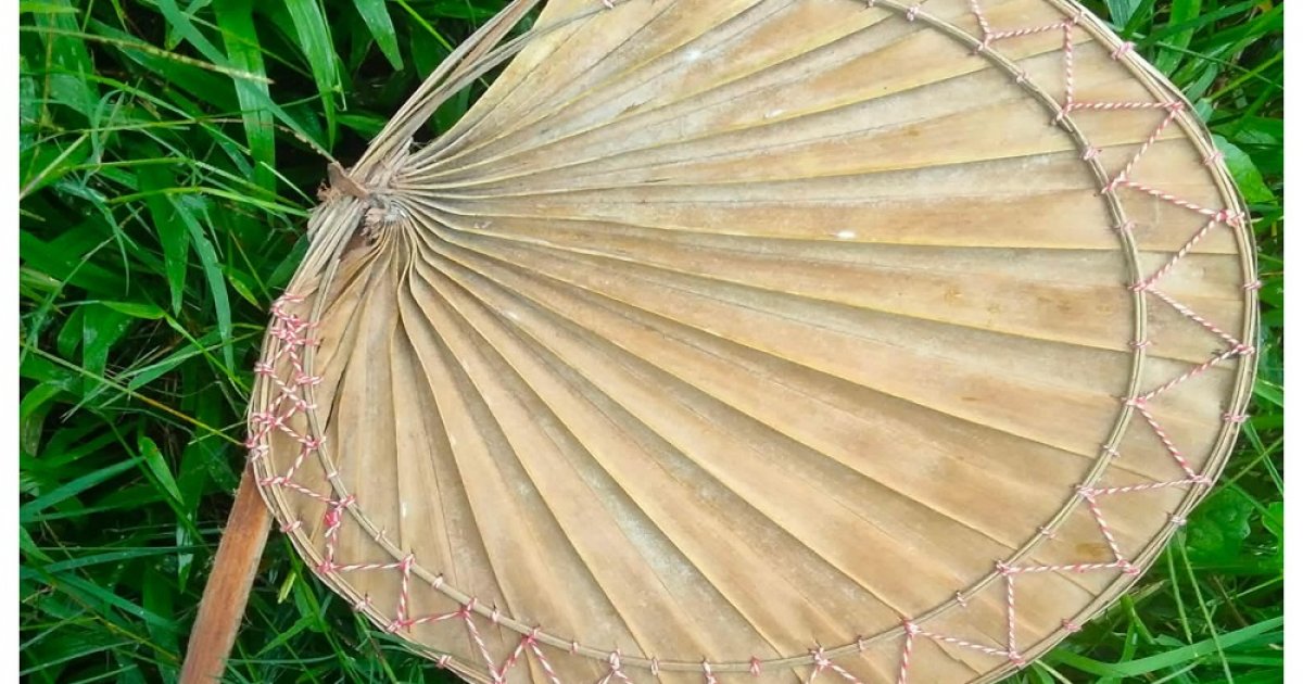 একজন জোহরা বেগমের লড়াই