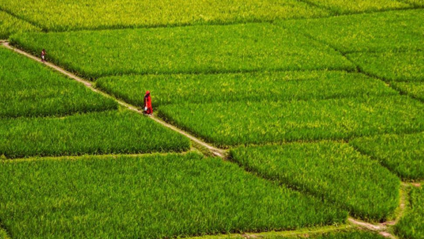 গুরুত্বপূর্ণ দলিল পেতে ধাপে ধাপে নির্দেশিকা