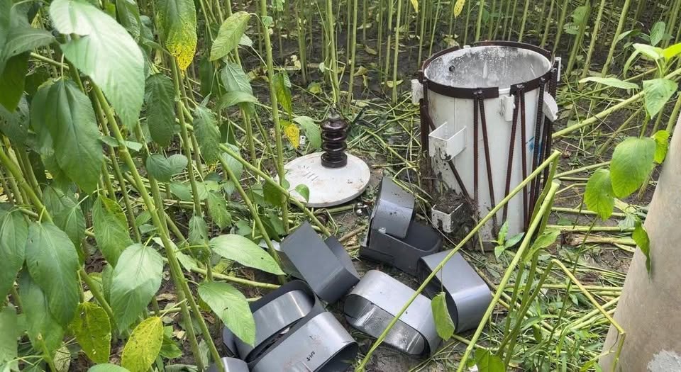 আলমডাঙ্গায় আমনের মাঠে সেচযন্ত্র চোরের থাবায় বিপন্ন কৃষকের স্বপ্ন: পুলিশের অভিযান জোরদারের দাবি