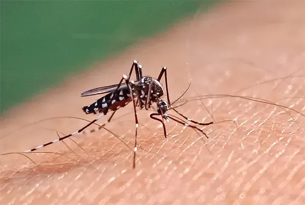 একদিনে রেকর্ড ৯ জনের মৃত্যু, আক্রান্ত ১৫৭১ জন