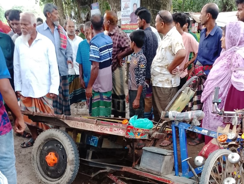 চুয়াডাঙ্গায় পিকআপের ধাক্কায় ৩ বছরের শিশুর মৃত্যু, আহত ৩